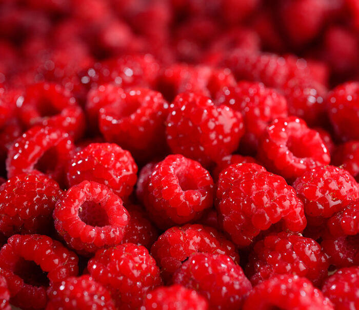 ჟოლო
